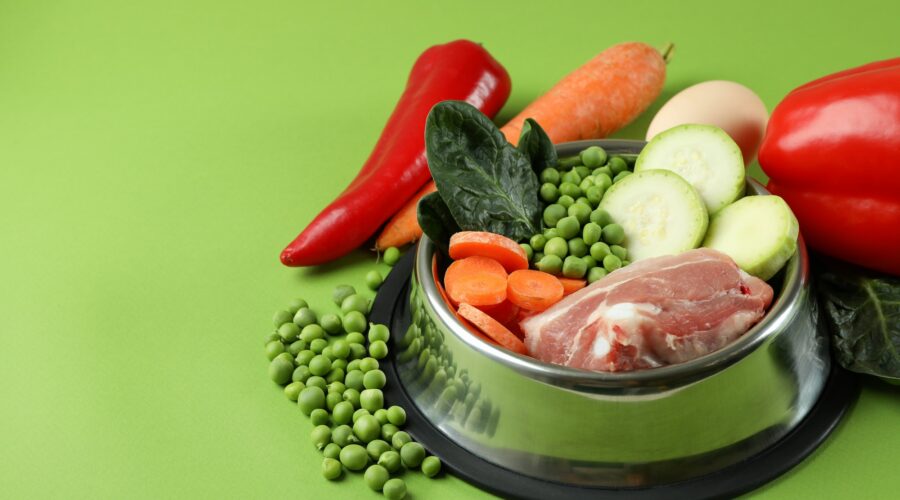 Concept of organic pet food on green background